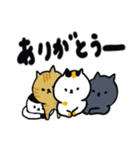 毎日使えるデカ文字の日本猫スタンプ（個別スタンプ：13）