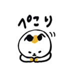 毎日使えるデカ文字の日本猫スタンプ（個別スタンプ：16）