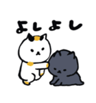 毎日使えるデカ文字の日本猫スタンプ（個別スタンプ：27）