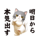 【3D】無気力らいふ界隈（個別スタンプ：25）