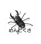スマホの上のヒラタクワガタ1（個別スタンプ：8）