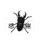 スマホの上のヒラタクワガタ1（個別スタンプ：11）