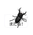 スマホの上のヒラタクワガタ1（個別スタンプ：19）