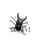 スマホの上のヒラタクワガタ1（個別スタンプ：21）