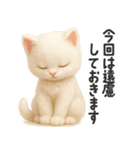ふわもこ白猫の断り＆フォロースタンプ（個別スタンプ：2）