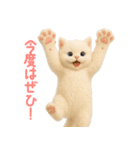 ふわもこ白猫の断り＆フォロースタンプ（個別スタンプ：5）