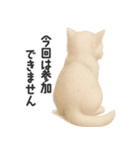 ふわもこ白猫の断り＆フォロースタンプ（個別スタンプ：10）