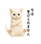 ふわもこ白猫の断り＆フォロースタンプ（個別スタンプ：14）