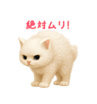 ふわもこ白猫の断り＆フォロースタンプ（個別スタンプ：19）