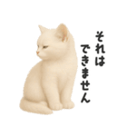 ふわもこ白猫の断り＆フォロースタンプ（個別スタンプ：20）