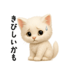ふわもこ白猫の断り＆フォロースタンプ（個別スタンプ：22）