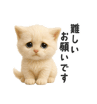 ふわもこ白猫の断り＆フォロースタンプ（個別スタンプ：24）