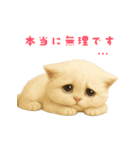 ふわもこ白猫の断り＆フォロースタンプ（個別スタンプ：25）