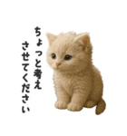 ふわもこ白猫の断り＆フォロースタンプ（個別スタンプ：31）