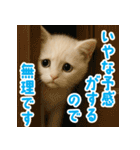 ふわもこ白猫の断り＆フォロースタンプ（個別スタンプ：32）