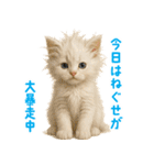 ふわもこ白猫の断り＆フォロースタンプ（個別スタンプ：33）
