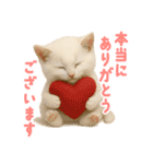 ふわもこ白猫の断り＆フォロースタンプ（個別スタンプ：36）