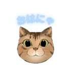 和猫かふぇイラストスタンプ（個別スタンプ：1）