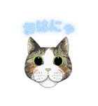 和猫かふぇイラストスタンプ（個別スタンプ：2）