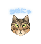 和猫かふぇイラストスタンプ（個別スタンプ：4）