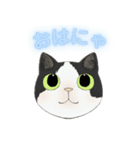 和猫かふぇイラストスタンプ（個別スタンプ：5）