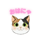 和猫かふぇイラストスタンプ（個別スタンプ：6）