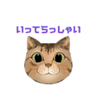 和猫かふぇイラストスタンプ（個別スタンプ：19）