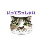 和猫かふぇイラストスタンプ（個別スタンプ：21）
