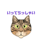和猫かふぇイラストスタンプ（個別スタンプ：22）