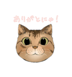 和猫かふぇイラストスタンプ（個別スタンプ：25）