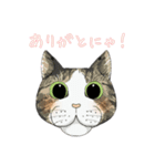 和猫かふぇイラストスタンプ（個別スタンプ：26）