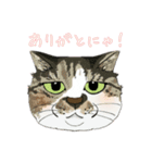 和猫かふぇイラストスタンプ（個別スタンプ：27）