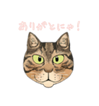 和猫かふぇイラストスタンプ（個別スタンプ：28）