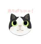 和猫かふぇイラストスタンプ（個別スタンプ：29）