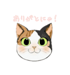 和猫かふぇイラストスタンプ（個別スタンプ：30）