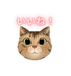 和猫かふぇイラストスタンプ（個別スタンプ：31）