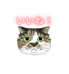 和猫かふぇイラストスタンプ（個別スタンプ：32）