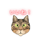 和猫かふぇイラストスタンプ（個別スタンプ：33）