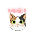 和猫かふぇイラストスタンプ（個別スタンプ：35）