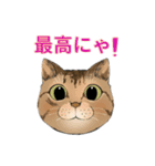 和猫かふぇイラストスタンプ（個別スタンプ：36）