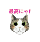 和猫かふぇイラストスタンプ（個別スタンプ：37）