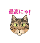 和猫かふぇイラストスタンプ（個別スタンプ：38）
