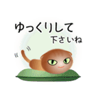 色々な猫10-2 短毛-垂れ耳-茶（個別スタンプ：12）