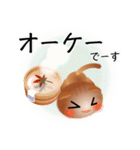色々な猫10-2 短毛-垂れ耳-茶（個別スタンプ：28）