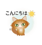 色々な猫10-3 長毛-立ち耳-茶（個別スタンプ：5）