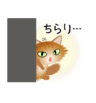 色々な猫10-3 長毛-立ち耳-茶（個別スタンプ：6）