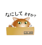 色々な猫10-3 長毛-立ち耳-茶（個別スタンプ：8）