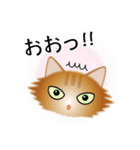 色々な猫10-3 長毛-立ち耳-茶（個別スタンプ：10）
