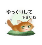 色々な猫10-3 長毛-立ち耳-茶（個別スタンプ：12）
