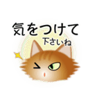 色々な猫10-3 長毛-立ち耳-茶（個別スタンプ：14）